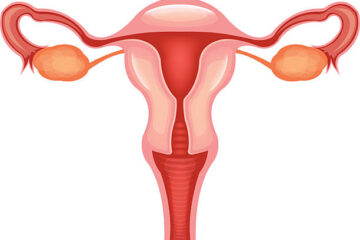 Utero piatto